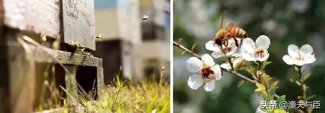 论颜值和论品质,论颜值与实用性