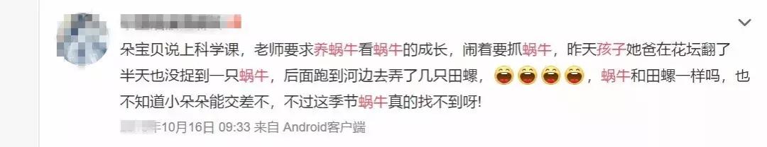 幼儿园手工作业逼疯家长,幼儿园手工作业难倒家长系列