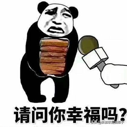 新加坡年轻人的真实现状,新加坡民众的现状