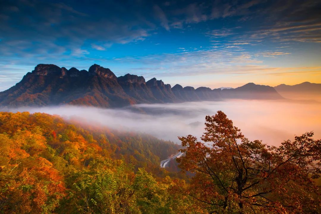 巴中光雾山红叶的最佳时间,红叶谷打卡地