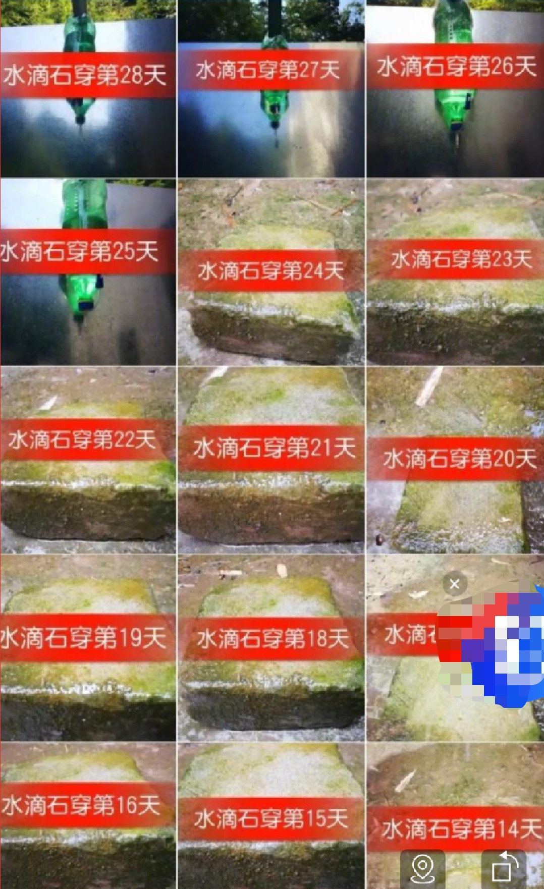 搞笑的女生群聊,女生之间群聊会野到什么程度