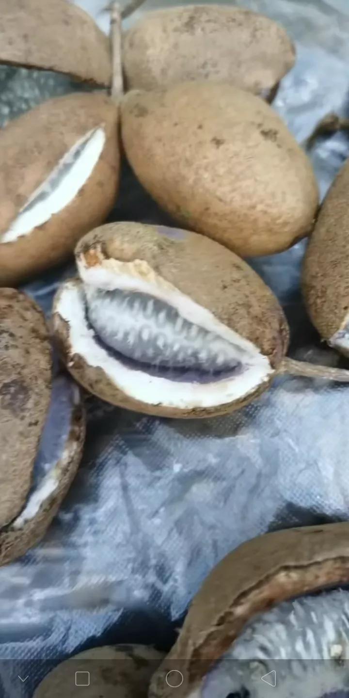 好想对你说一句我想你了,好想跟你说心事