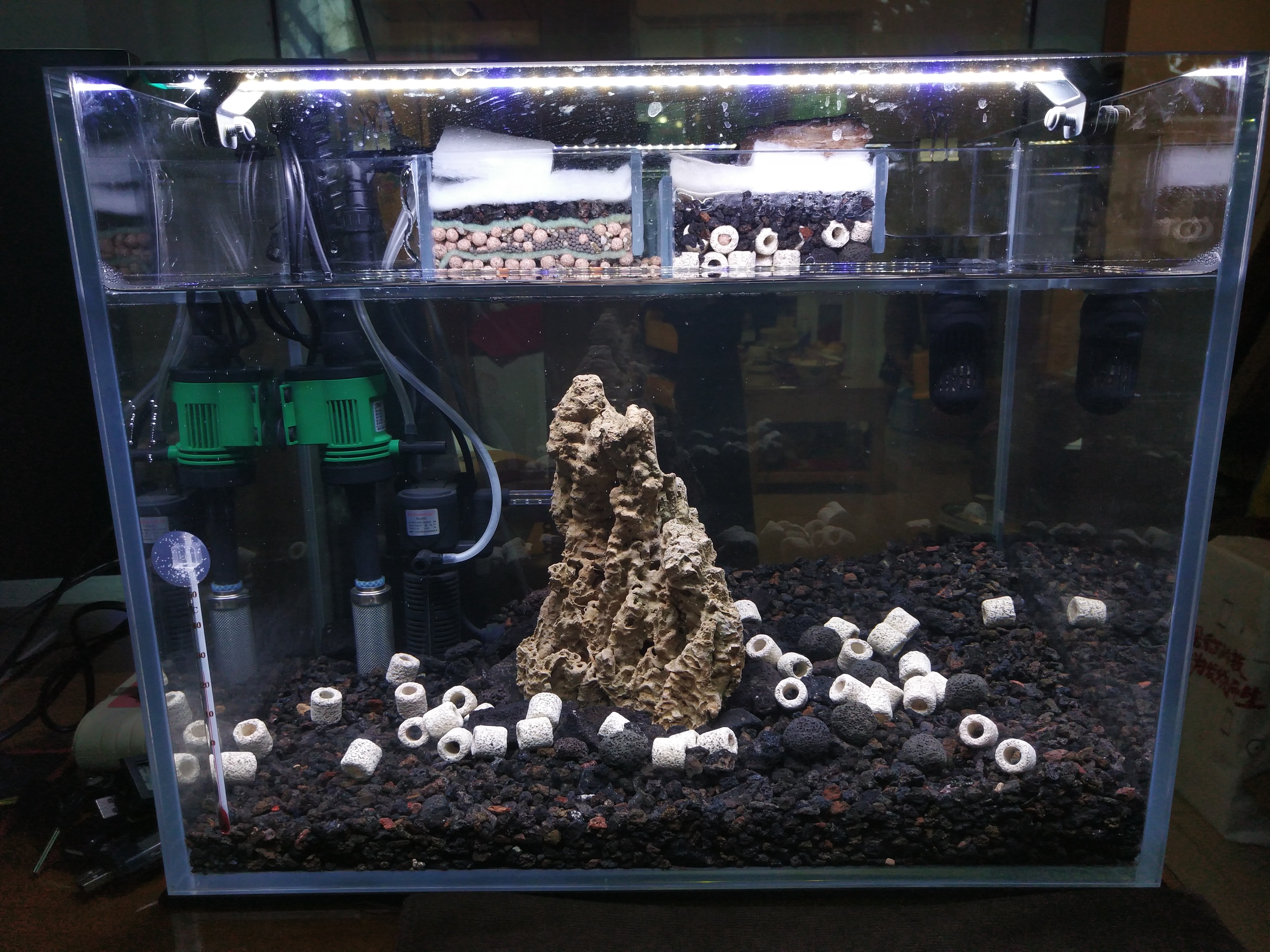 哪种小型鱼缸最好养,鱼缸养什么比较好看