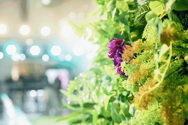 springsummer时装周,springsummer时装走秀