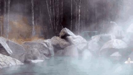 云南保山附近有哪些天然温泉,云南罗茨温泉哪家环境好又实惠