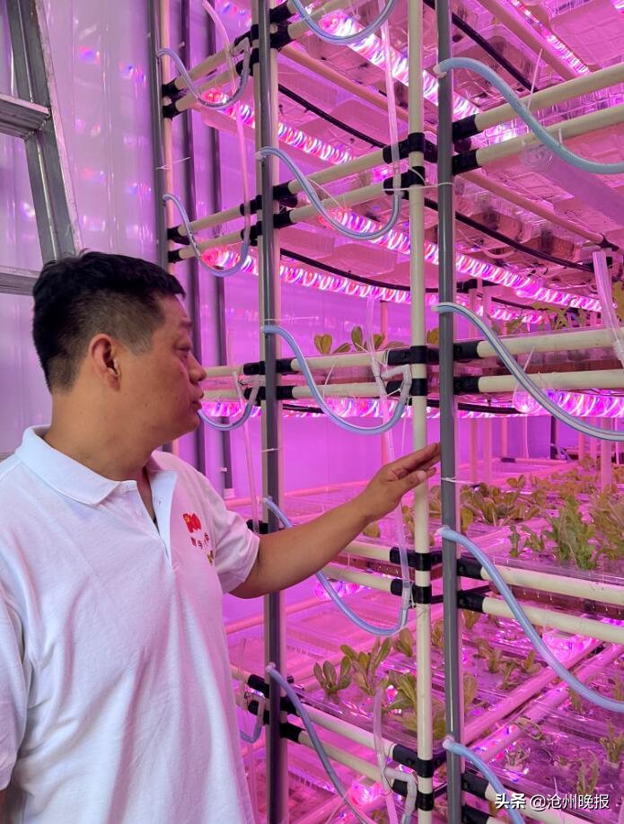 集装箱隐藏式,集装箱暗藏玄机