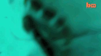 73岁老人被狼追杀,人类被鲨鱼猎杀的惊恐瞬间