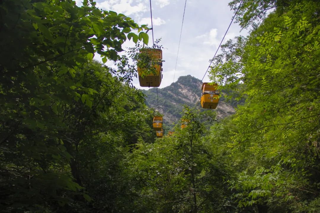 索道9公里,太平山索道80一个来回多久