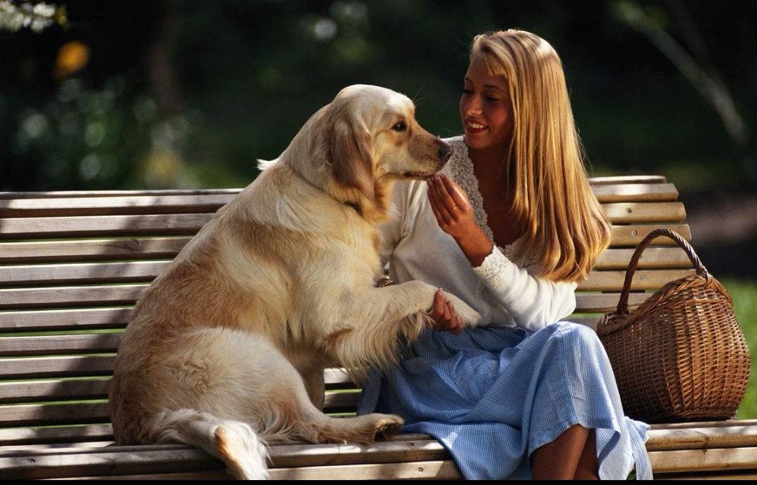 婆婆反对在家里养狗媳妇该怎么说,婆婆反对儿媳养狗