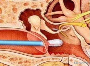 情侣接吻时哪些地方是禁区,情侣之间除了接吻还有什么暧昧