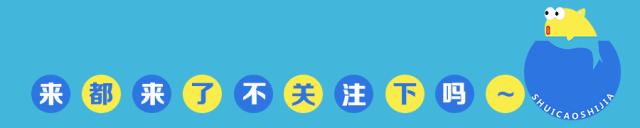 30cm小缸青龙石造景大全,30cm长缸原生溪流缸造景