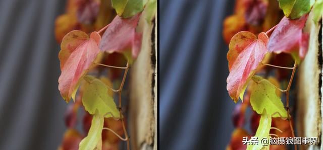 2023专业摄影修图软件,手机摄影后期修图app