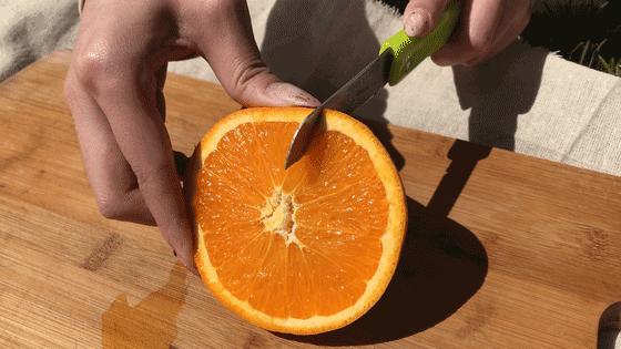 长春生鲜冷链配送,长春蔬果生鲜配送新鲜直达