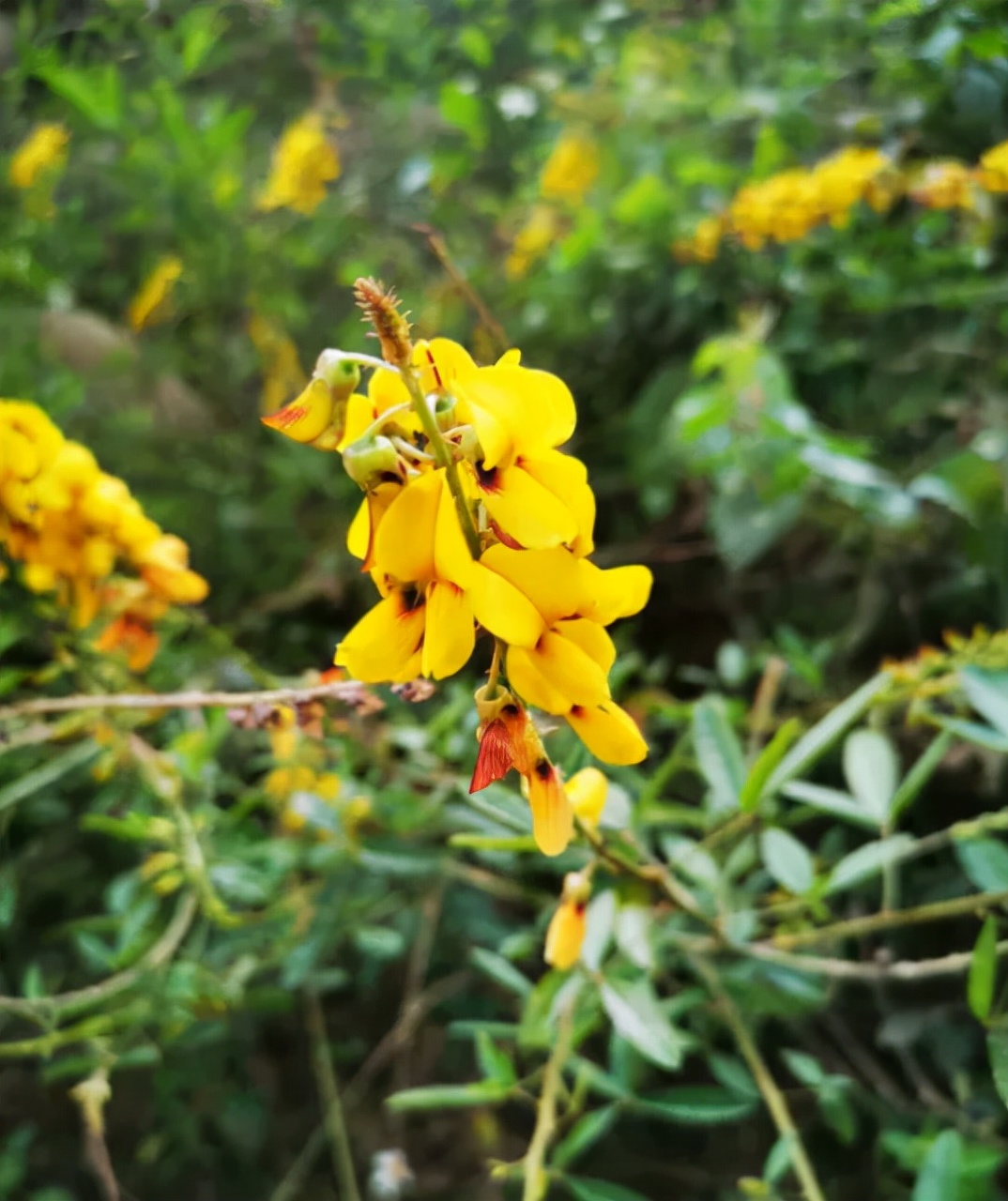 甲癌术后10年与病友分享,甲友心声最新消息