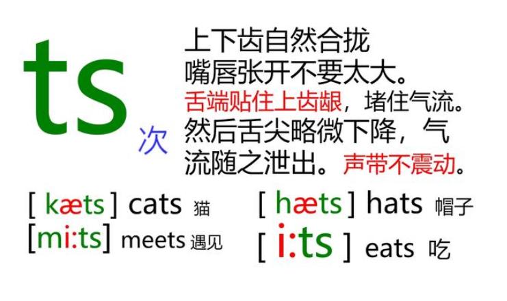 48个音标一对一发音讲解直播,48个国际音标正确发音英语老师
