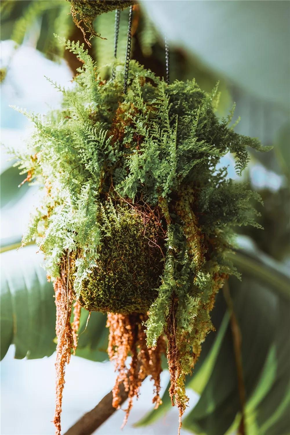 探秘!10000㎡打造世界烘焙商业新物种!!!(系列一)