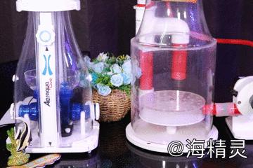 海水产品的优缺点,海水制作的产品有哪些