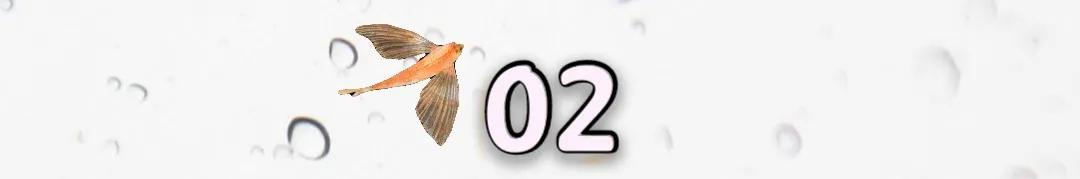 陈慧娴与梅艳芳实力,梅艳芳和陈慧娴的纷争