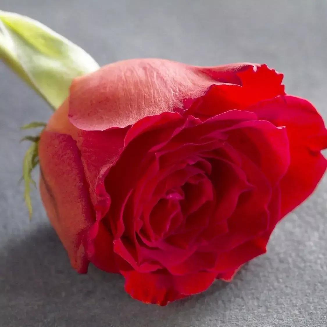 聪明的女人是怎么面对男人的绝情,男人很绝情的时候女人该怎么做