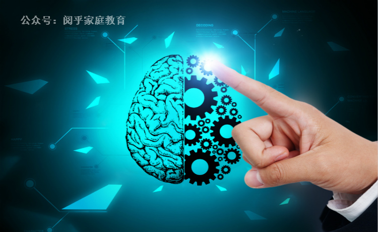 阅读家庭教育书籍心得,家庭教育为什么会迷茫