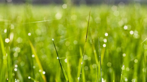 鬼魂复仇电影,鬼魂回来复仇