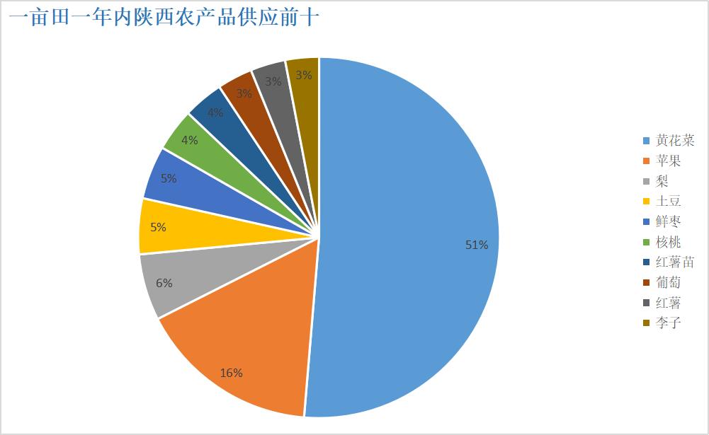 陕西是瓜果大省,陕西水果种植面积全国第一