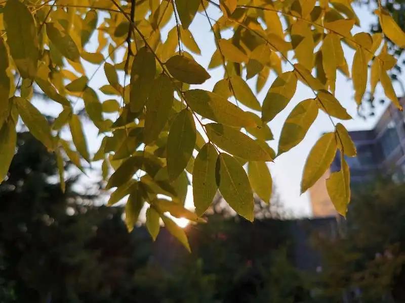 北外高招,2022年北外招生咨询