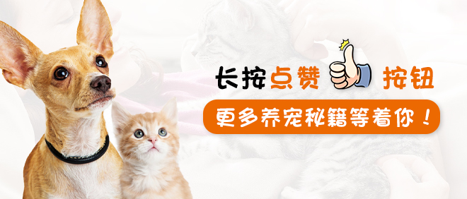 猫咪怕冷么多少度算冷,猫咪会怕冷吗