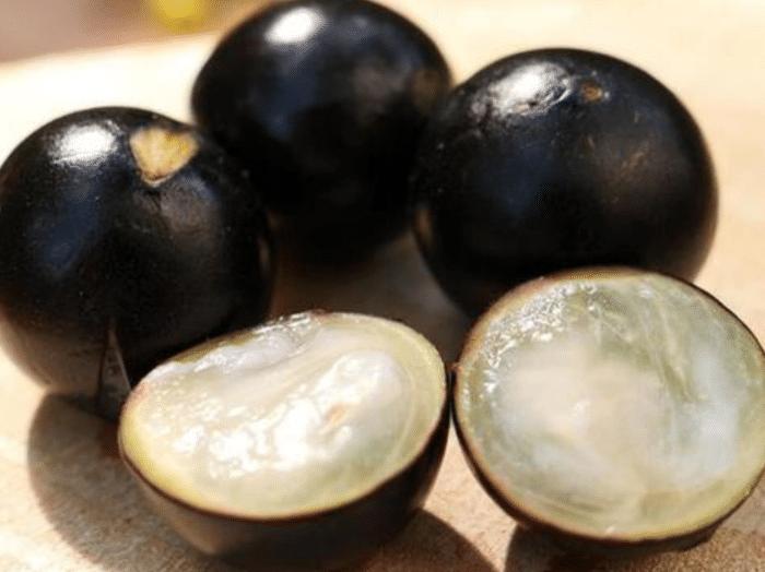 广东水果黑珍珠,黑珍珠水果产地最好的地区