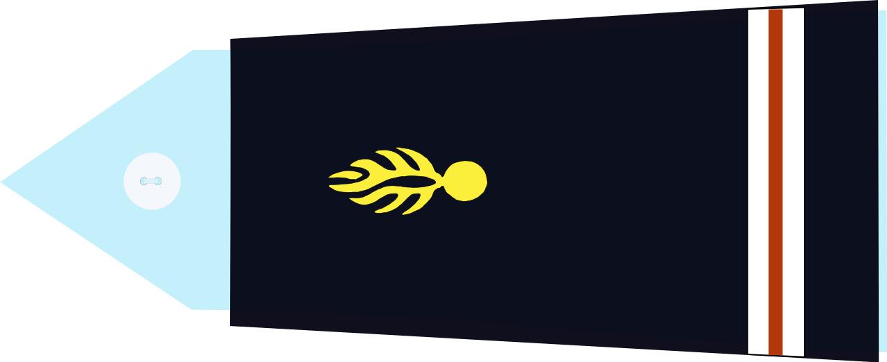 法国将军军衔等级,法国上校是什么军衔