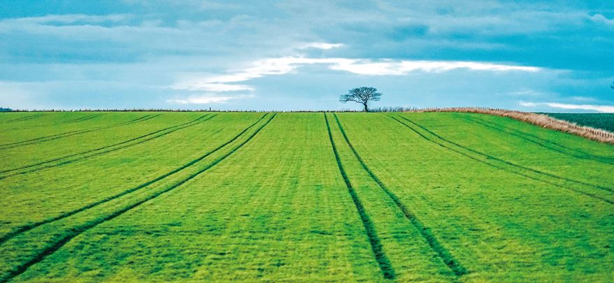 这里的秋冬，萧索中满是优雅