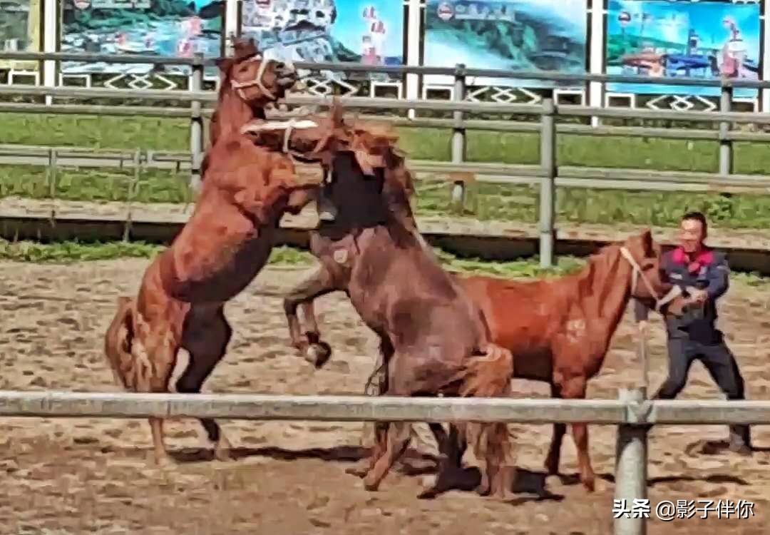 宝鸡大水川,宝鸡大水川好不好玩