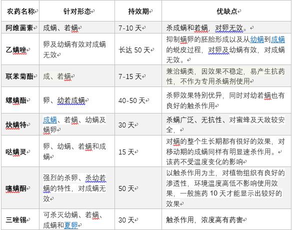 红蜘蛛有了抗性用什么治,7月柑橘红蜘蛛怎样才能彻底干掉