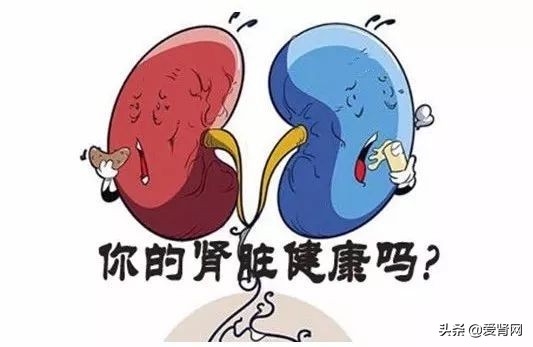 一文读懂肾小球滤过率,得了肾炎怎么办老中医一招教会你