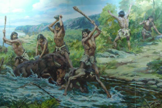 为什么人类一年四季都是发情期,人类发情期有规律吗