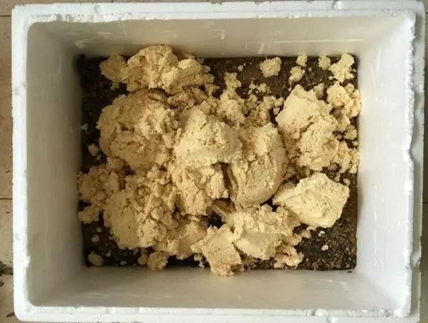 这6种碎渣渣，养花当土又当肥，比激素还有劲儿