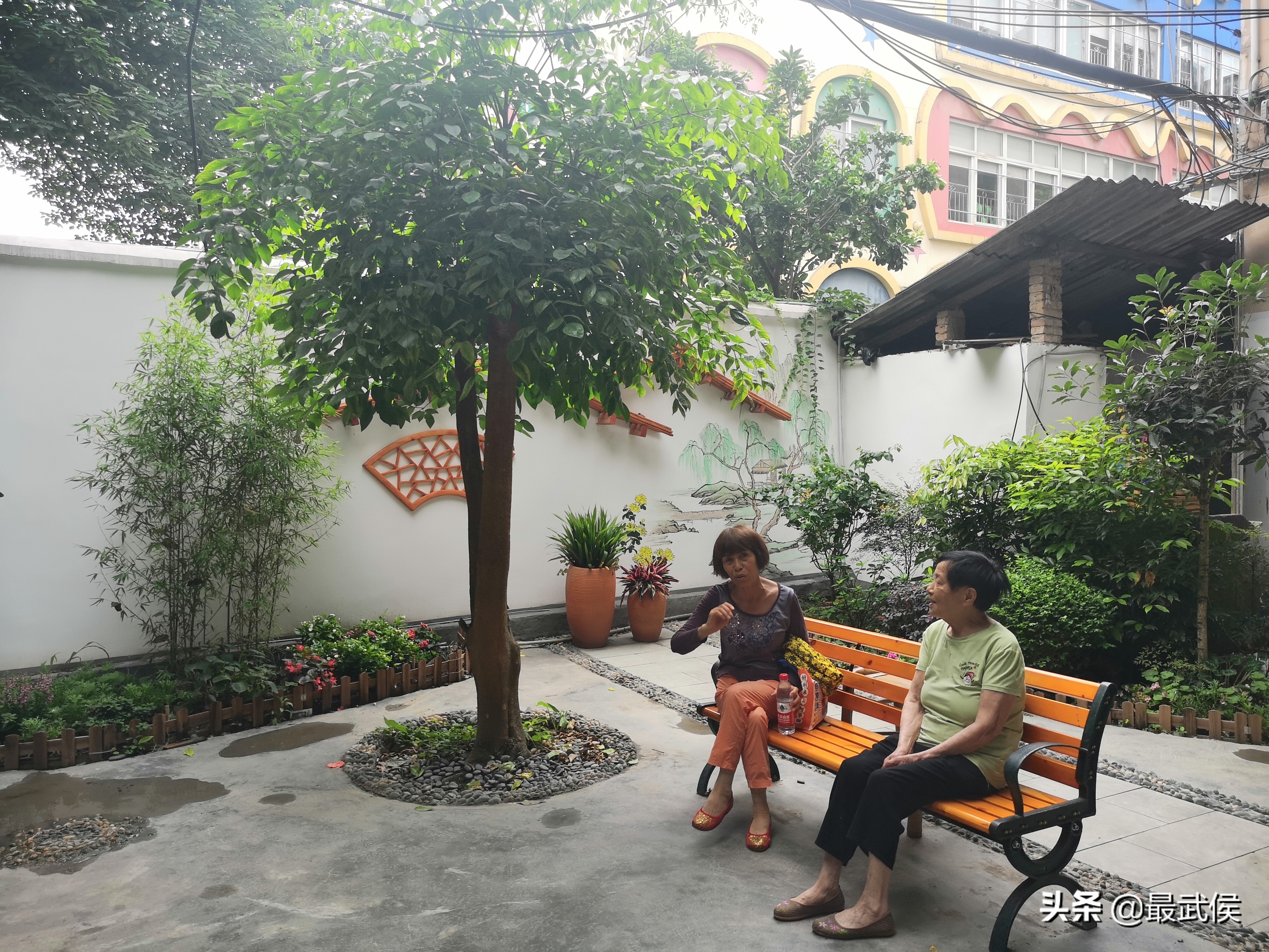 垃圾场变身生态长廊,垃圾场变网红景点