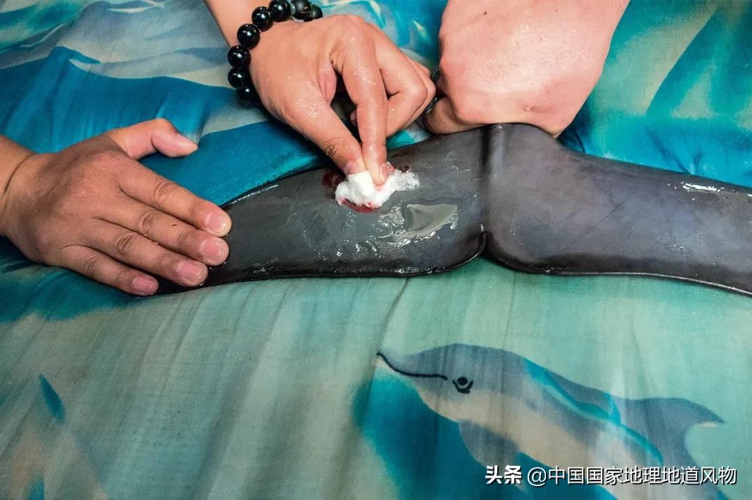 中国五大国家公园,中国十大私藏国家公园