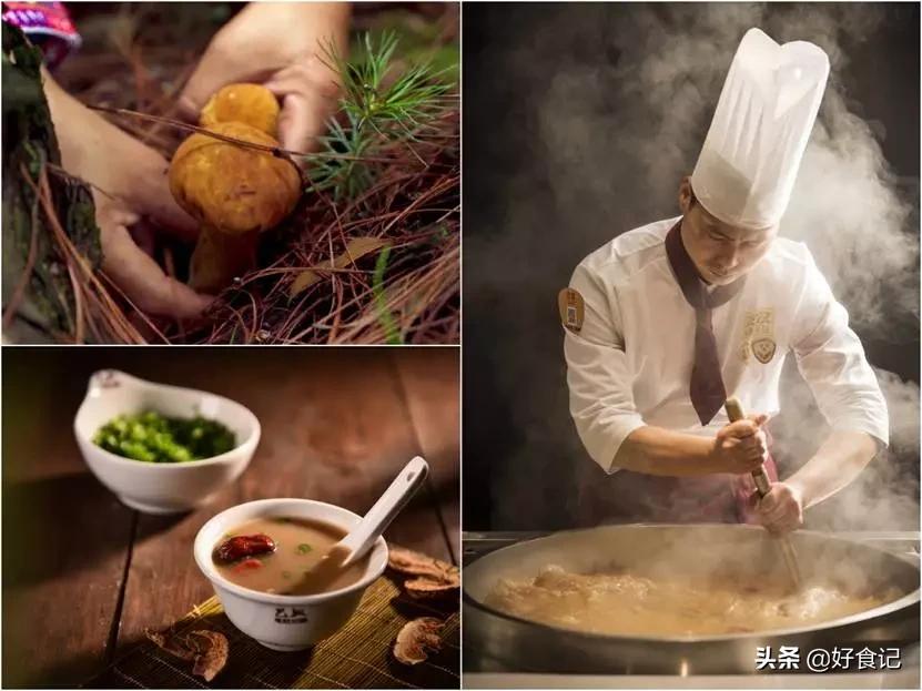 为什么巴奴只开在河南,巴奴董事长杜中兵简介