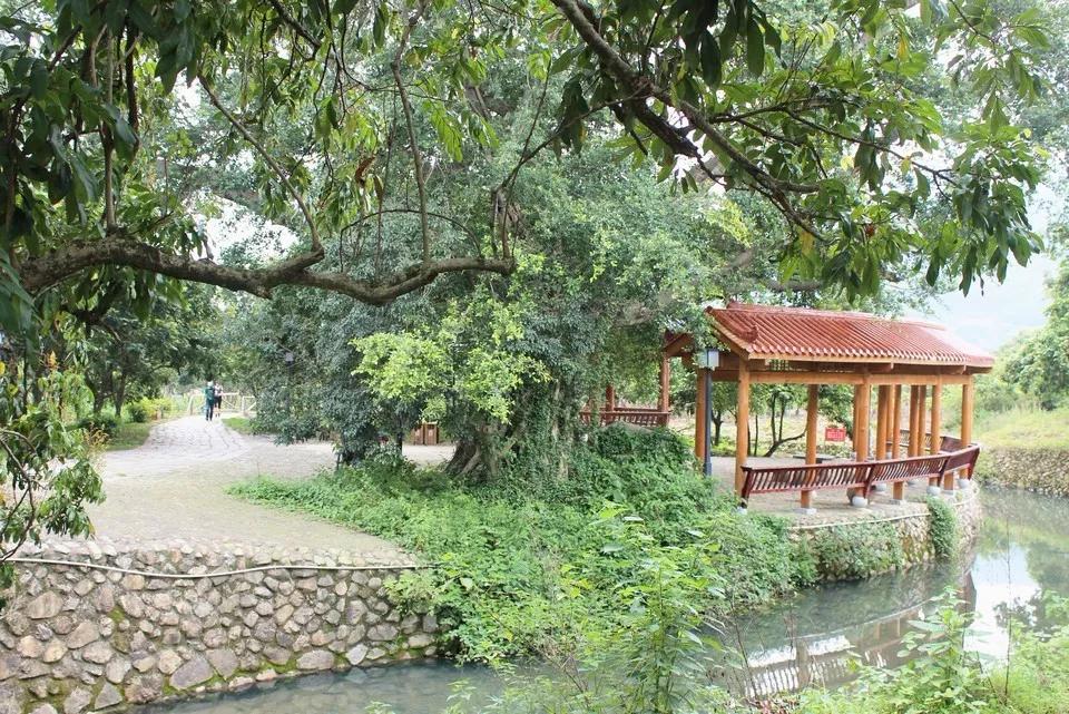 福州十大免费景点,福州网红景点免费