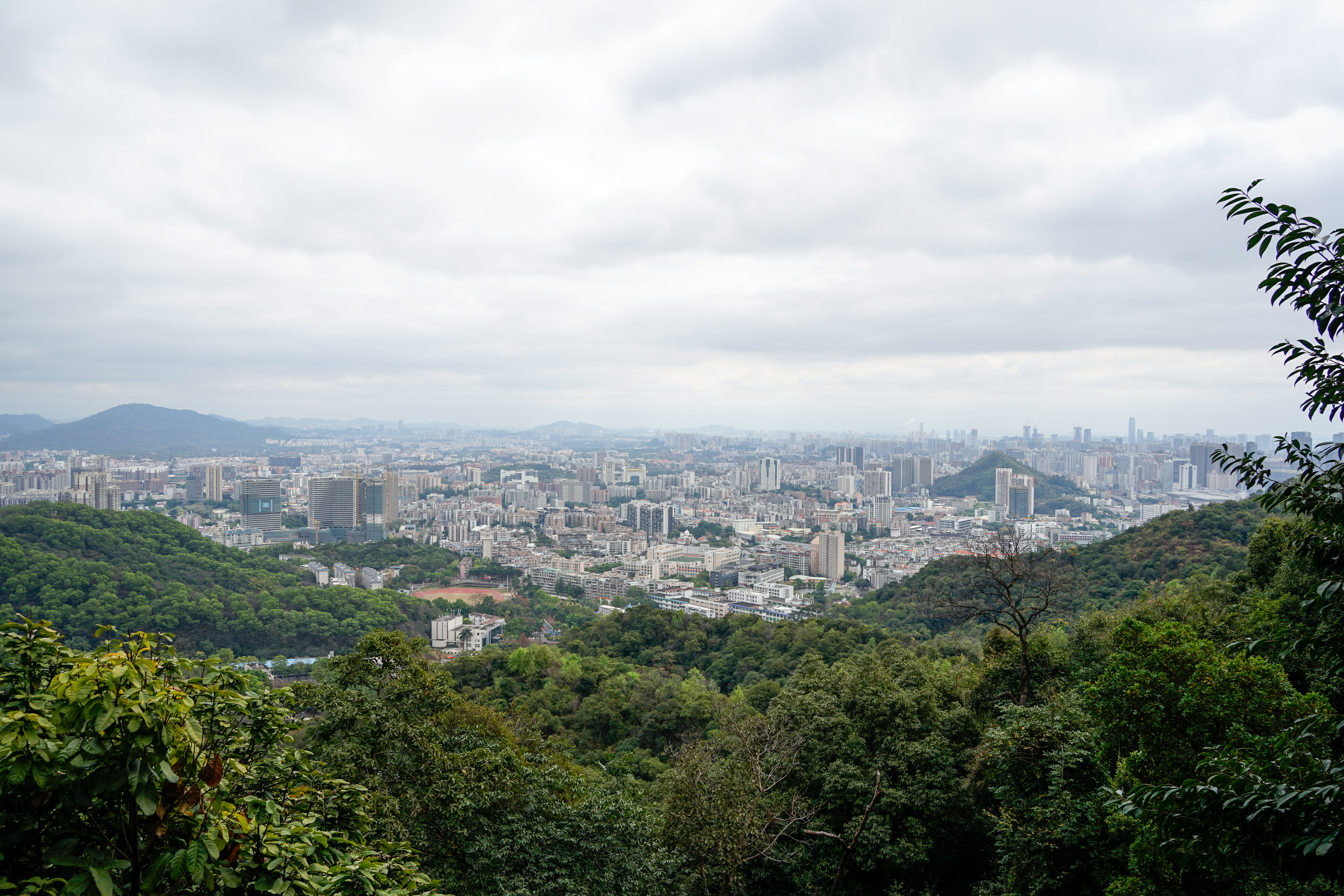 腾龙18-200f2.8佳能卡口,fe卡口f1.4副厂镜头推荐