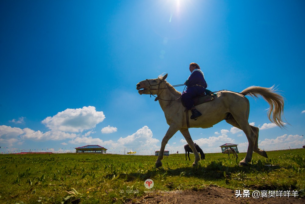 中国名马之乡,也是亚洲第一天然牧场