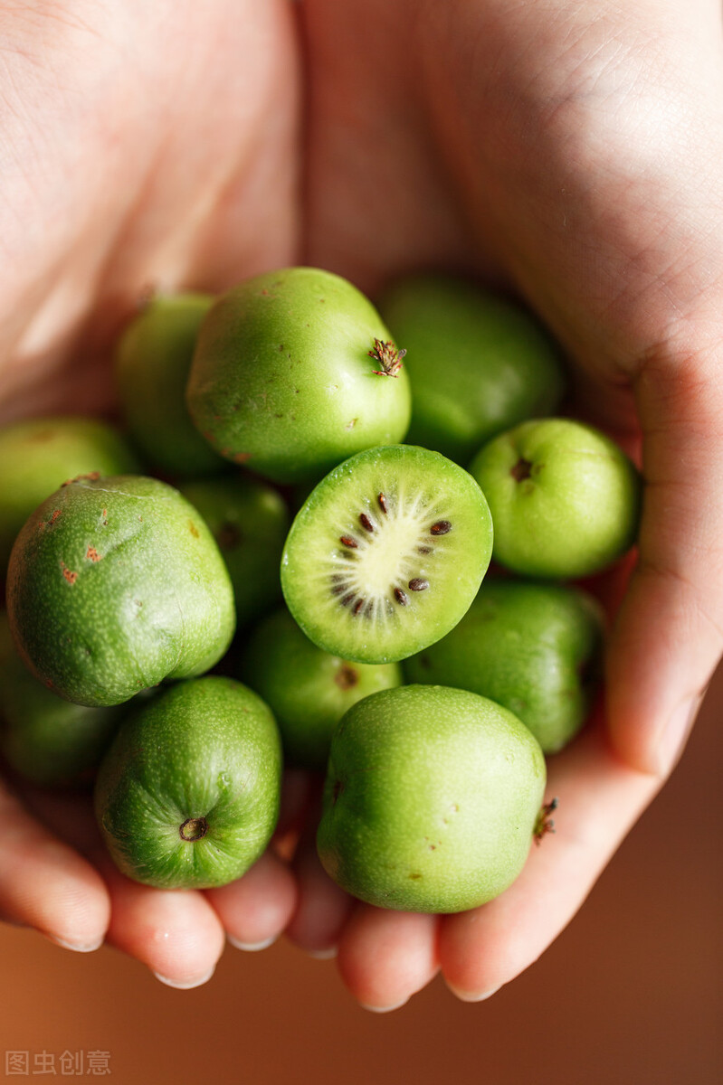 盆栽观果植物有哪些,观果植物具备哪些特征