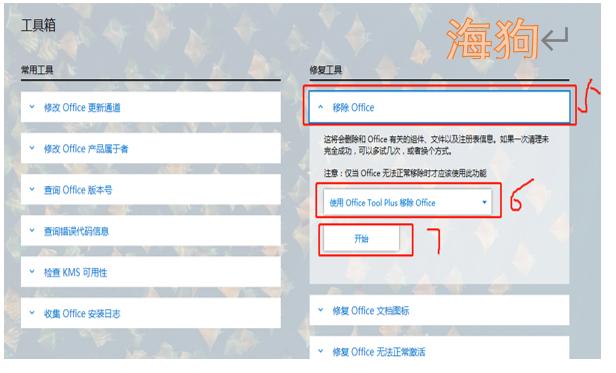 office3652019选择哪个版本,office2019怎么激活office365