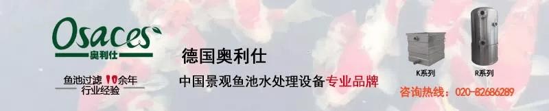 锦鲤鱼池传统过滤和智能过滤结合,锦鲤鱼池冬天到了要不要关过滤