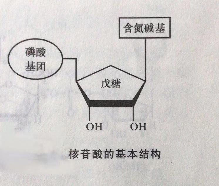 直面疫情砥砺前行,直面汹涌的新冠疫情