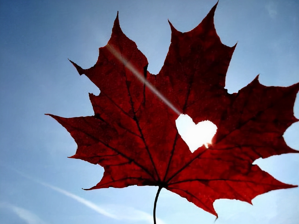 白嫖太多，但女孩终会成长——直面00后的感情观