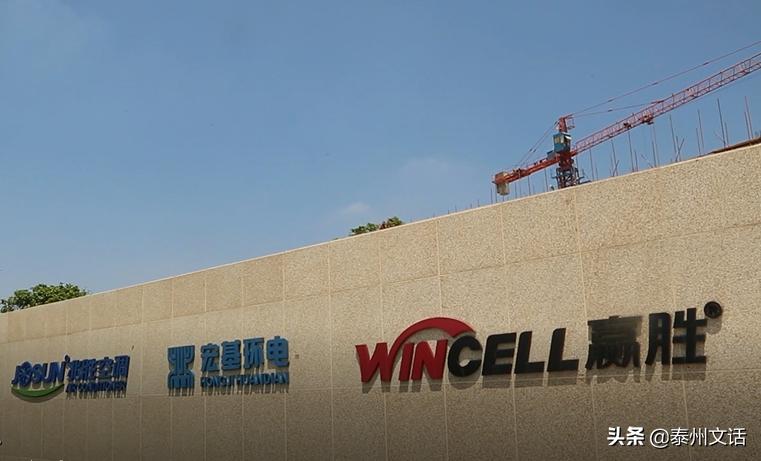 2019年度泰兴工业十强企业名单公布