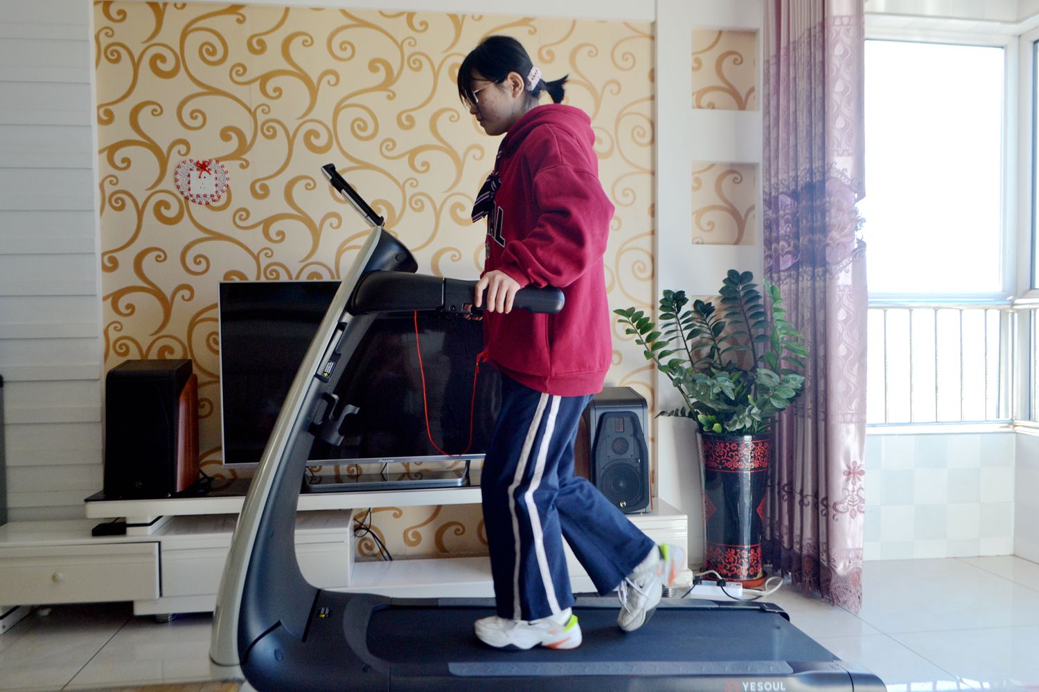 因为老罗入坑!入手了野小兽P30跑步机,坚持了半个月谈谈感受