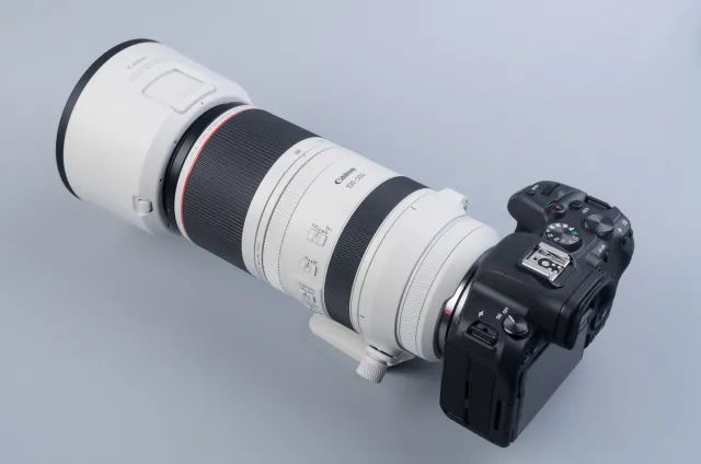 佳能rf100-500mm镜头拍鸟,佳能长焦相机100倍